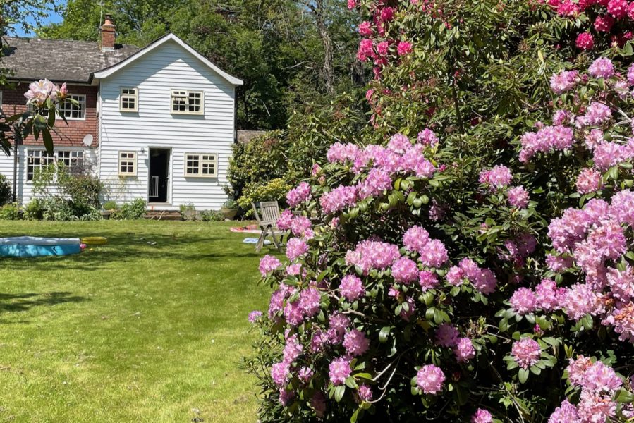 Little Holt from the rose garden